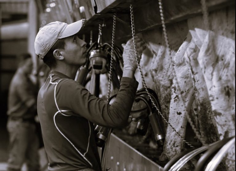 122023-01-Immigration-Labor