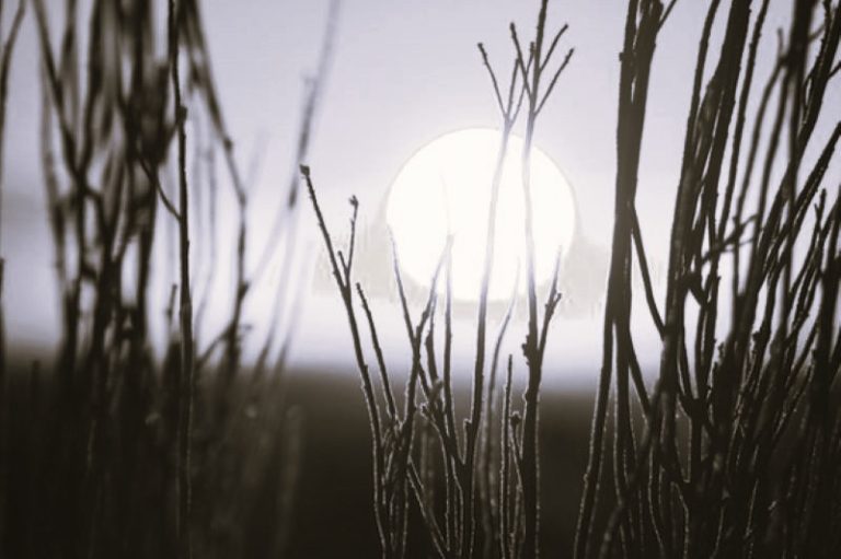 SolarPower-ClaytonRichard02