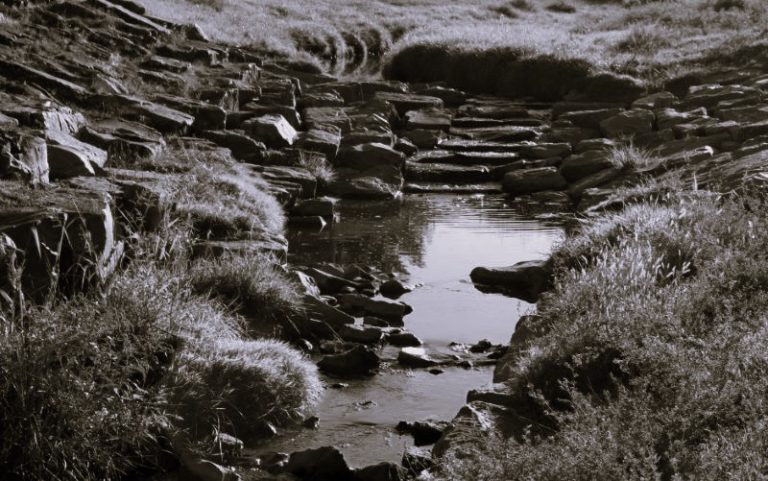 011224-06-Climate-Change