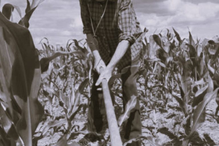 012024-21-Immigration-Labor