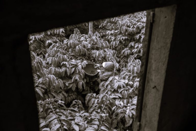 012024-29-Climate-Coffee