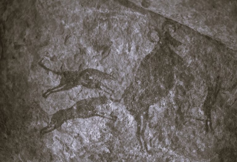 012124-49-Animals-Dogs