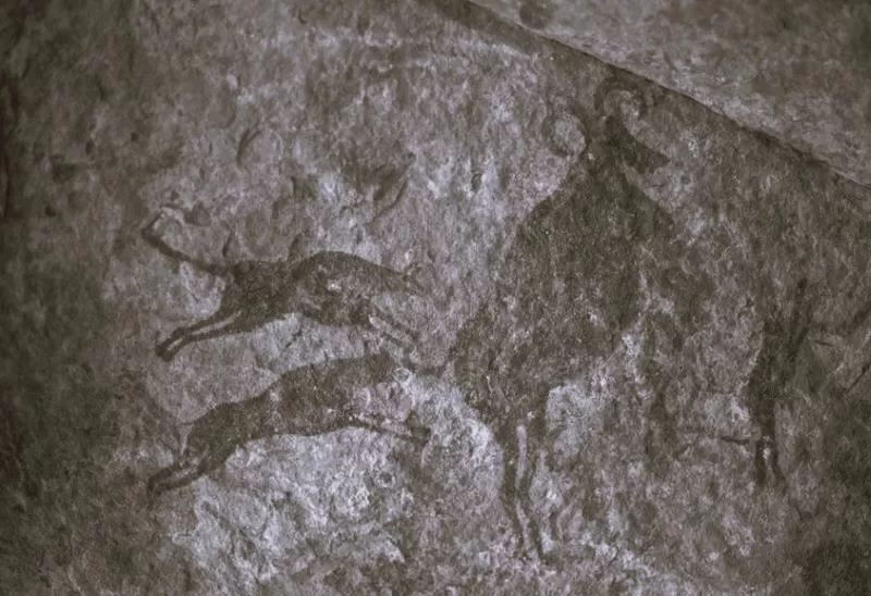 The History of Dog Domestication