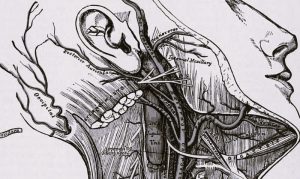 012424-17-Art-Medicine