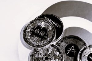 03-EnthusiastMainstream-VickieSung04