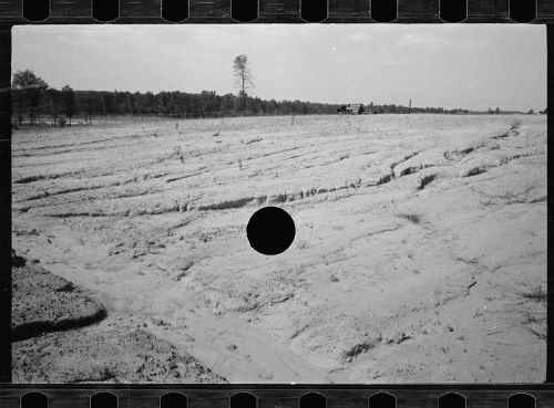 Untitled photograph by Carl Mydans, 1935, possibly depicting a farm in Prince George's County, Maryland.
