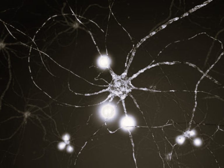 DiverseApplications-HannahGilbert02