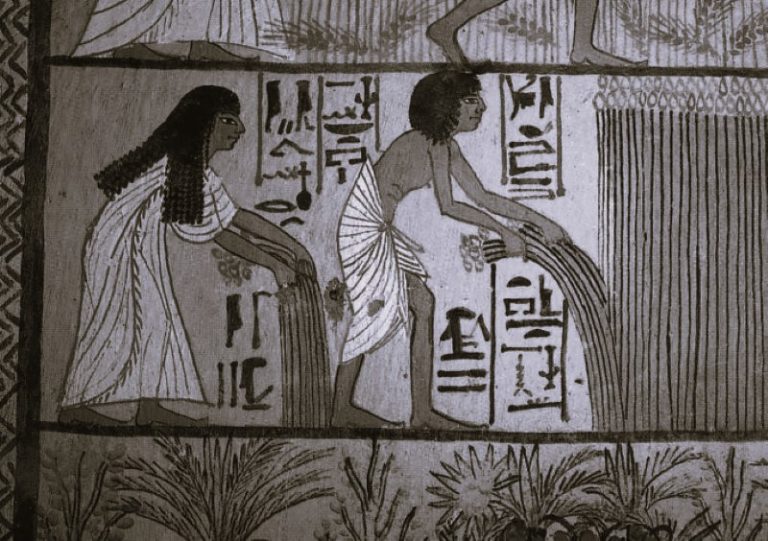 FoodEgypt-EnglishContent01