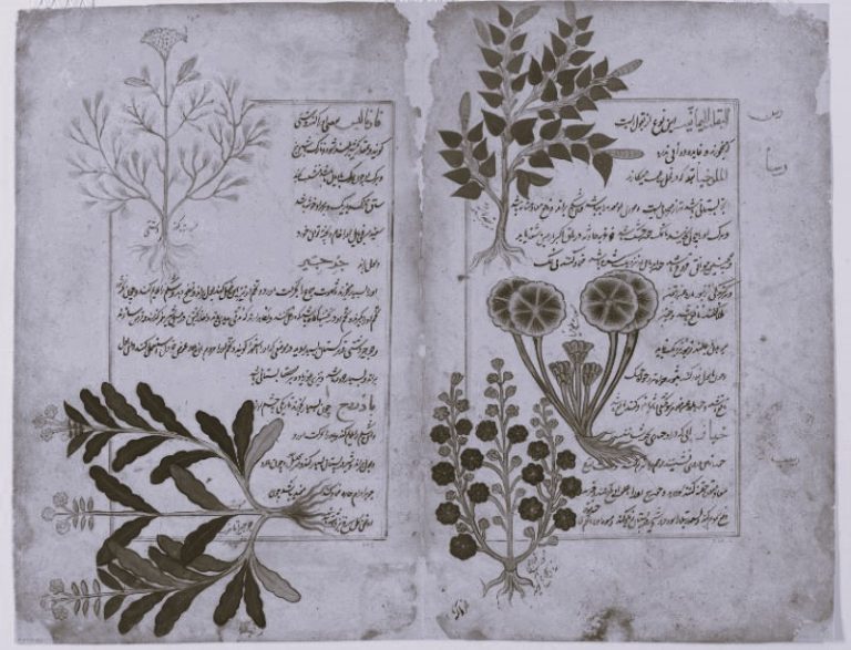 JobPerformance-oscartho01