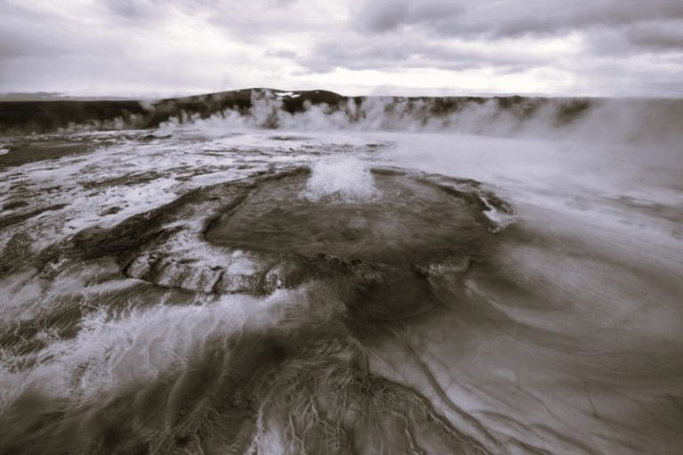 030424-01-Biology-Evolution