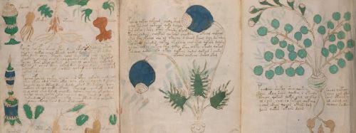 Trying to Crack the Mysterious Medieval Voynich Manuscript with Statistics 2 Trying to Crack the Mysterious Medieval Voynich Manuscript with Statistics