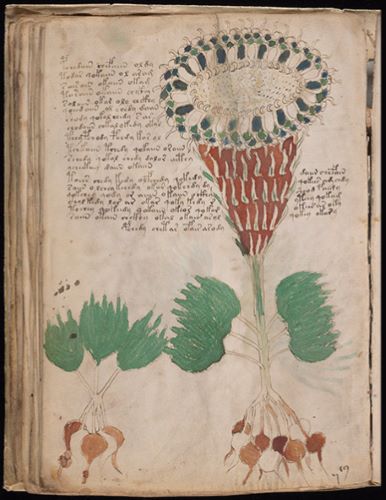 Trying to Crack the Mysterious Medieval Voynich Manuscript with Statistics 7 Trying to Crack the Mysterious Medieval Voynich Manuscript with Statistics