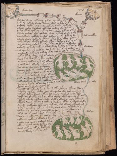 Trying to Crack the Mysterious Medieval Voynich Manuscript with Statistics 9 Trying to Crack the Mysterious Medieval Voynich Manuscript with Statistics