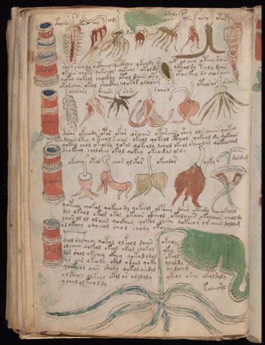Trying to Crack the Mysterious Medieval Voynich Manuscript with Statistics 10 Trying to Crack the Mysterious Medieval Voynich Manuscript with Statistics