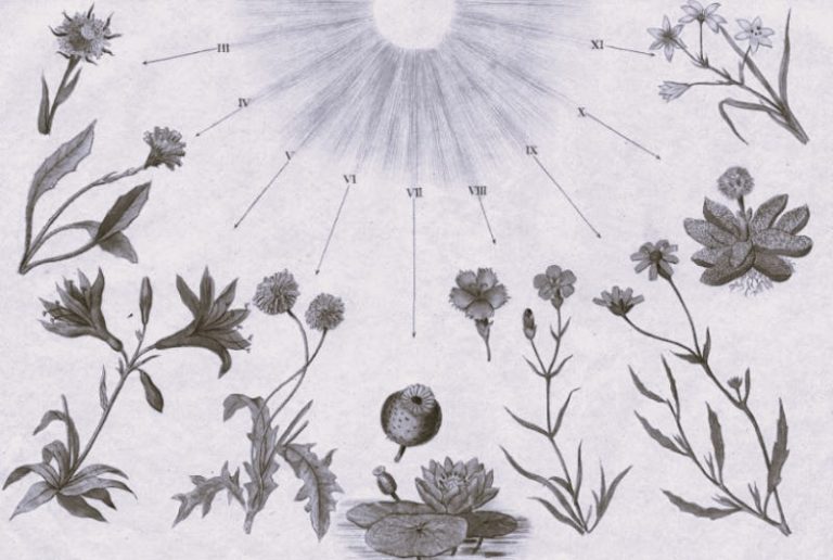 030724-11-Environment-History