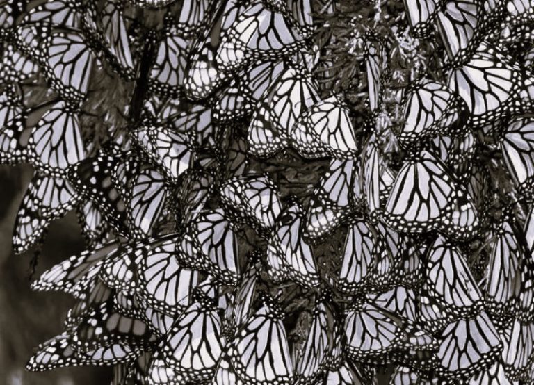 030724-23-Environment-History