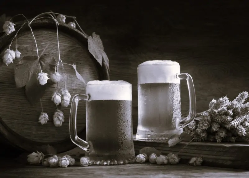 Climate Change and Beer: How Hop Growers Are Adapting to Rising Heat