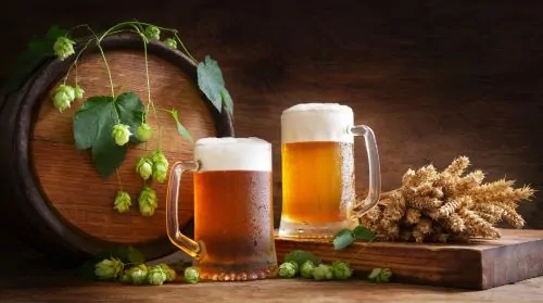 Beer steins and hops