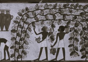 030924-43-Alcohol-History