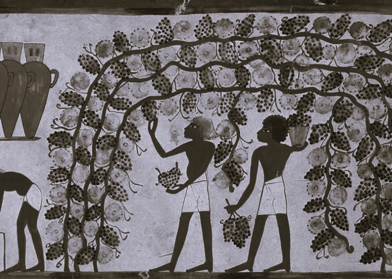 Clues to Wine’s Startling History in Ancient Caves and Monasteries