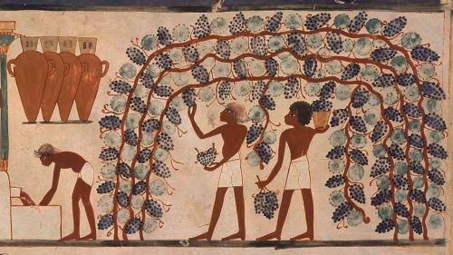 Clues to Wine’s Startling History in Ancient Caves and Monasteries 2 Clues to Wine’s Startling History in Ancient Caves and Monasteries