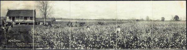 'King Cotton' and Southern Secession Strategy Precipitating the American Civil War 13 'King Cotton' and Southern Secession Strategy Precipitating the American Civil War