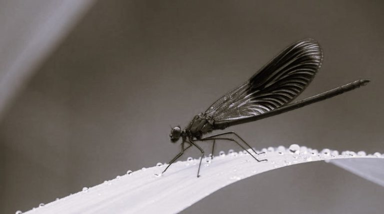 032124-19-Climate-Change