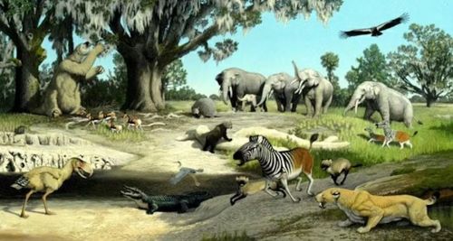 Fossil Hoofbeats: Uncovering the Deep-Time Journey of Horses in the Americas 20 An artist’s rendition of species that lived in Florida during the Pliocene epoch, a time of global cooling 5.3 million to 2.6 million years ag