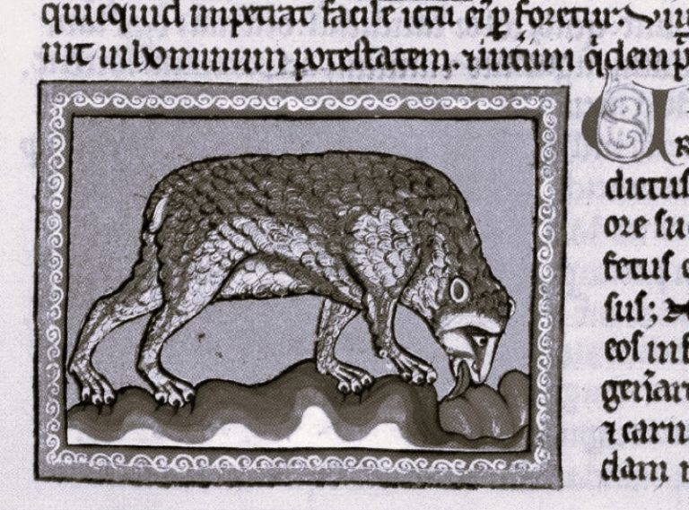 033124-58-Animals-Art