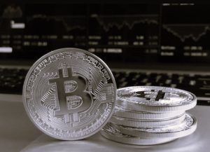 ConnoisseurGuide-MayaDean05