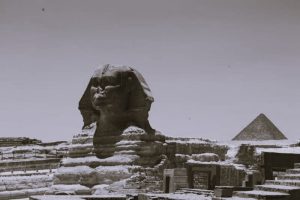 EnduringAppeal-EnglishContent02