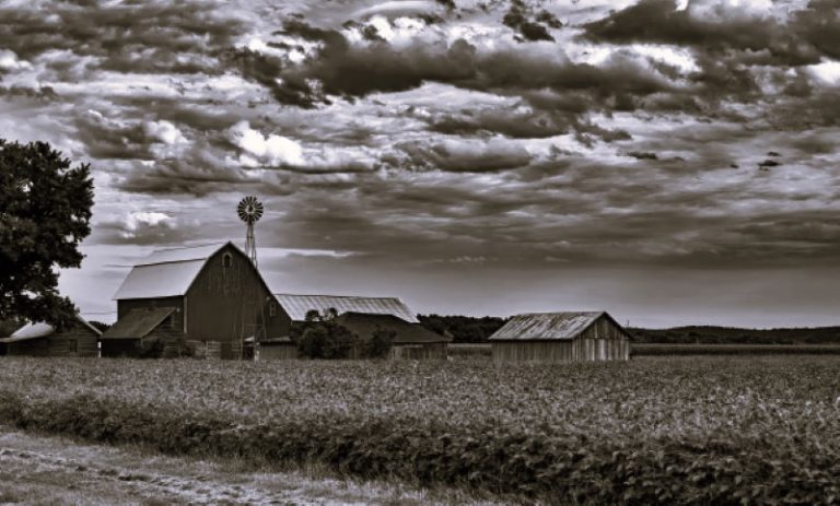 SmallholdingLand-ClickIntelligence01