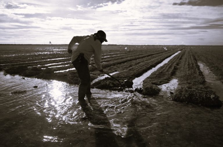 040124-06-Immigration-Labor