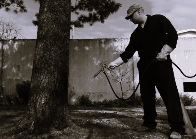 AISolutions-HannahGilbert02