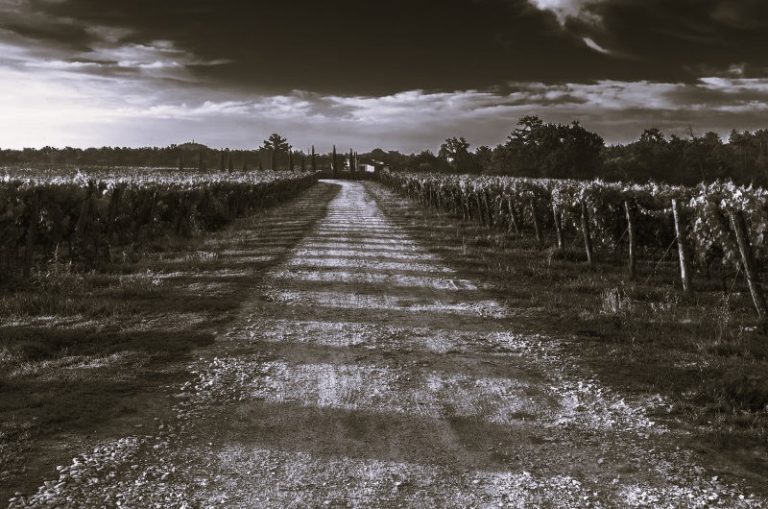 EcoFriendlhyDriving-Natalie01