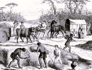 A History of Human Causes of Deadly Pandemics since the Neolithic Era 27 050724-18-Disease-History