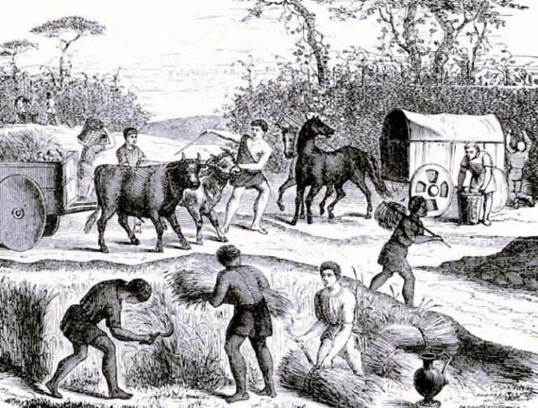 050724-18-Disease-History