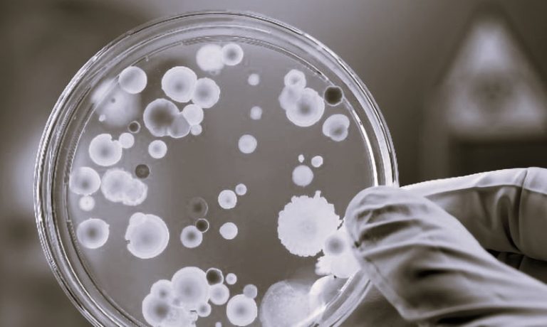 051724-01-Disease-Medicine