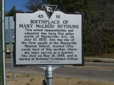 How Civil Rights Leader Mary McLeod Bethune Sought to Unify the African Diaspora 5 How Civil Rights Leader Mary McLeod Bethune Sought to Unify the African Diaspora