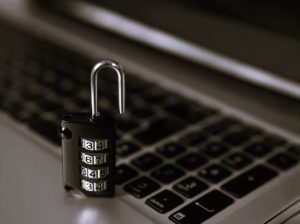 SecureProfits-MayaDean03