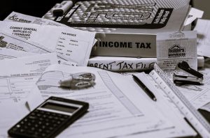 TaxTerrain-MayaDean02