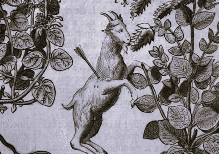 062324-44-Animals-History