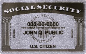 DiversificationTechniques-MayaDean02