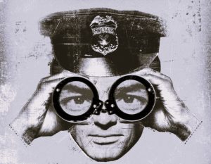 Nazi Spies in America during World War II 4 072924-29-History-Nazi