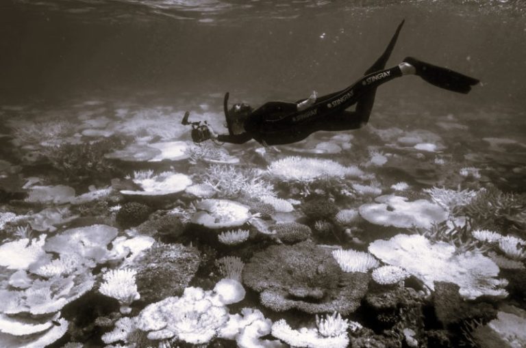 081024-01-Climate-Environment