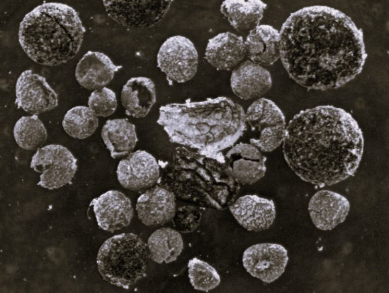 081024-07-Climate-Environment