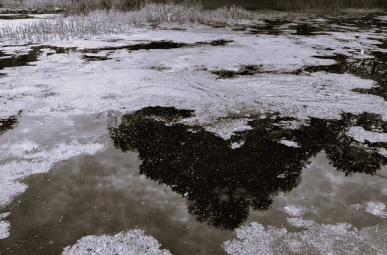 081024-24-Climate-Environment