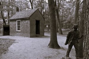 The Best of Both Worlds: Thoreau on Science and Communication in the 19th Century 10 081724-57-Literature-Science