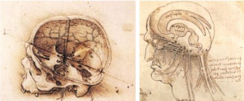 Science and Invention in Da Vinci's Renaissance Brain 9 Science and Invention in Da Vinci's Renaissance Brain