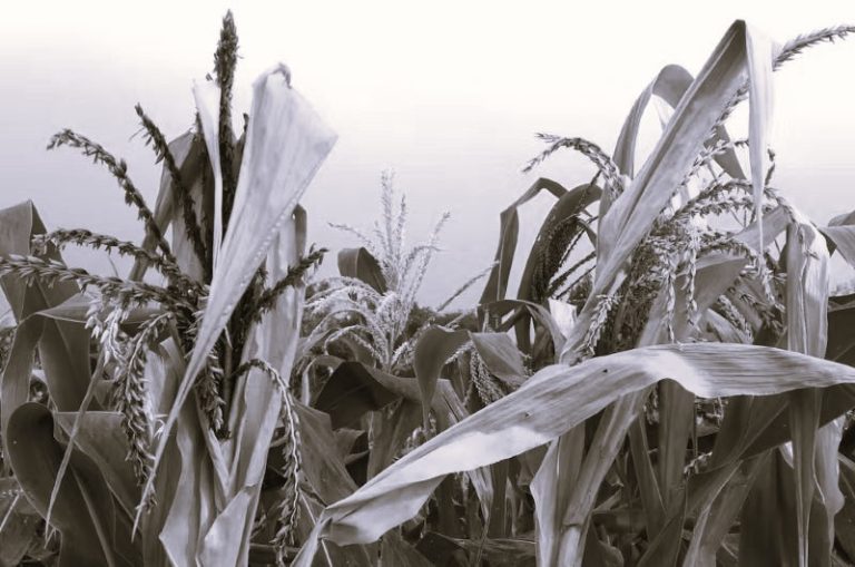 082224-09-Climate-Environment